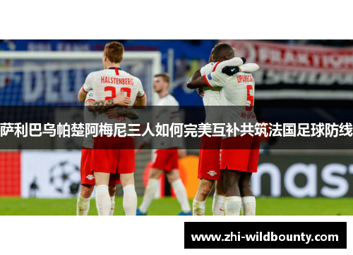 萨利巴乌帕楚阿梅尼三人如何完美互补共筑法国足球防线