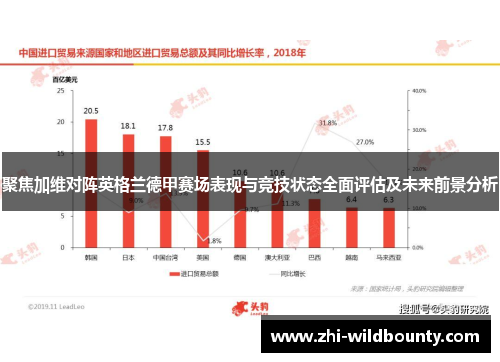 聚焦加维对阵英格兰德甲赛场表现与竞技状态全面评估及未来前景分析