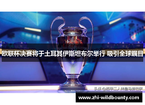 欧联杯决赛将于土耳其伊斯坦布尔举行 吸引全球瞩目 欧联杯决赛将于土耳其伊斯坦布尔举行 吸引全球瞩目